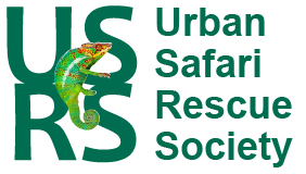 urban safari rescue society services